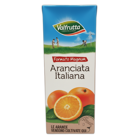 SUCCO BRIK 1.5L ARANCIATA