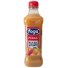 SUCCO PET S/ZUCCHERO 1 LT PESCA