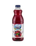 S.BENEDETTO SUCCOSO FRUTTI ROSSI