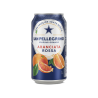 ARANCIATA SANPELLEGRINO LA